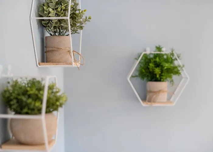 Urban Jungle Design - Historic Center With Free Parking & Panoramic View By Hero Homes Apartamento